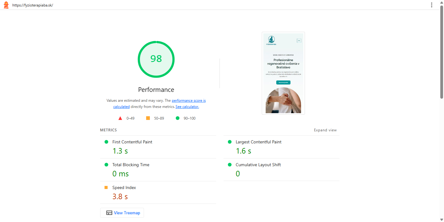 Fyzioterapia BA Lighthouse report: mobile performance score 98, LCP 1.6 seconds